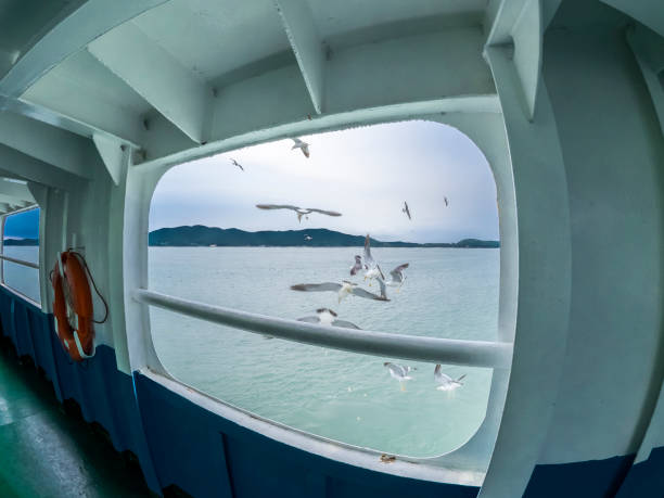 istock View of the seagulls from the ship porthole 1310318065