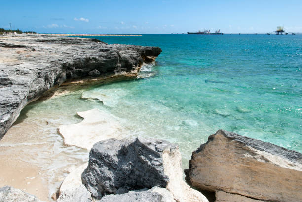 istock Grand Bahama Eroded Coastline And Cargo Ship 1310318161