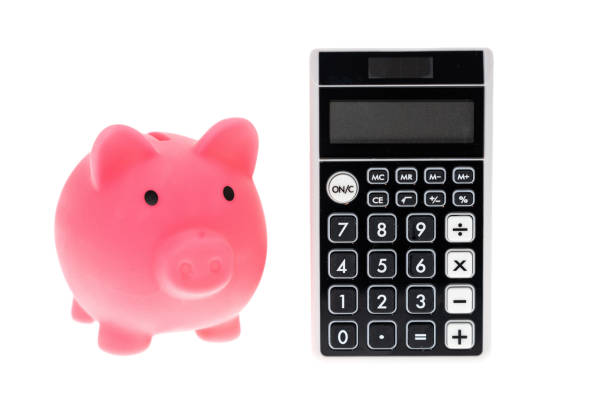 Piggy bank and a calculator - white background