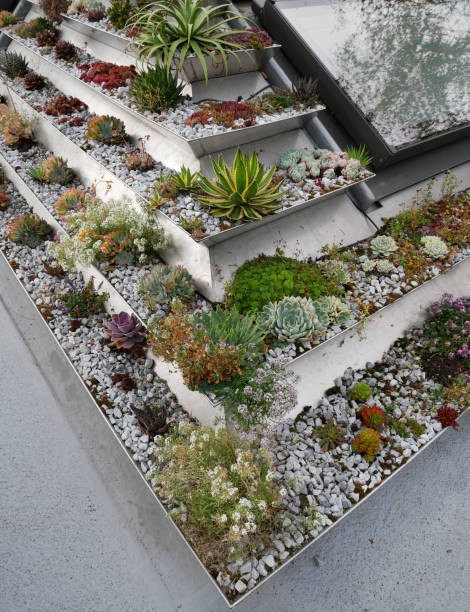 istock ecological green roof with plants 1310319679
