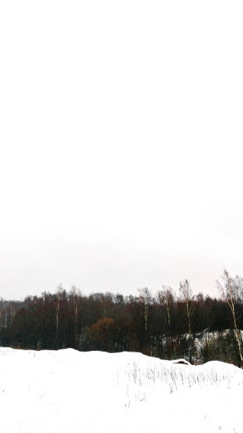 istock River, Forest, Snow not frozen in winter 1310319758
