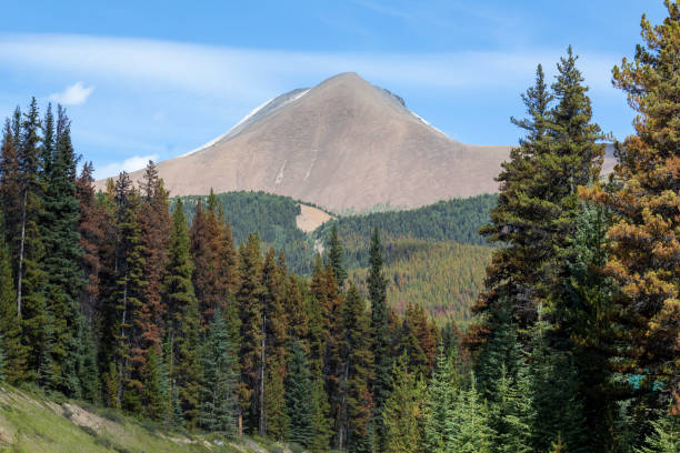 istock Canadian Rockies Scenic 1310320831