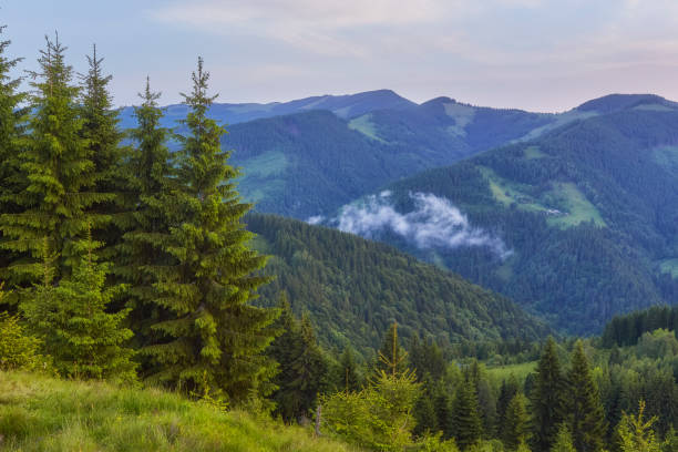 istock Colorful summer sunset in mountains 1310323550