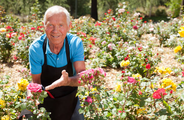 istock Man gardener posing at flower bed 1310324402