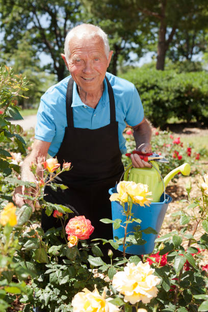 istock Male holding watering can at flowerbed 1310324451