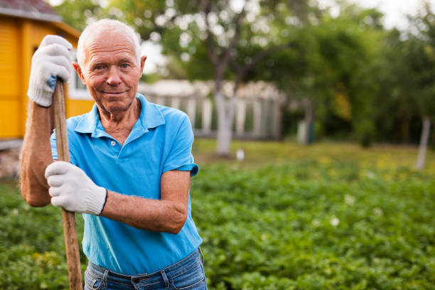 istock Mature man weeds with a hoe the garden bed 1310324463