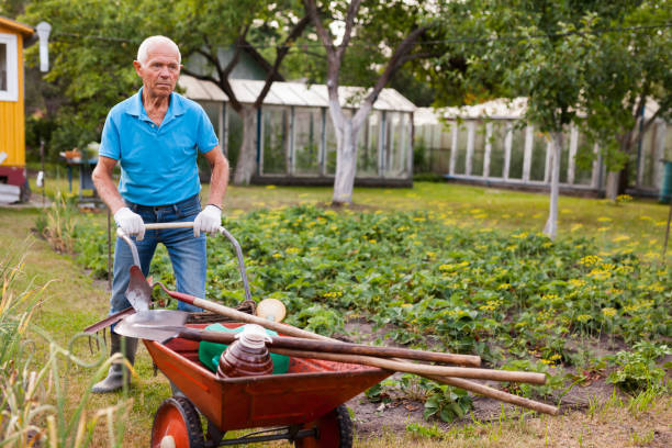 istock Senior man carrying garden tools in a wheelbarrow 1310324496
