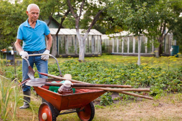 istock Elderly gray-haired man working in the garden 1310324498