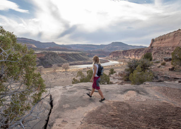 istock Female hiker walks along desert pathway in the morning 1310324789