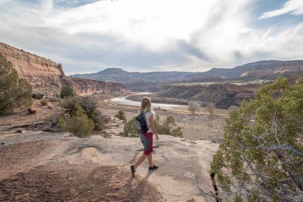 istock Female hiker walks along desert pathway in the morning 1310324819