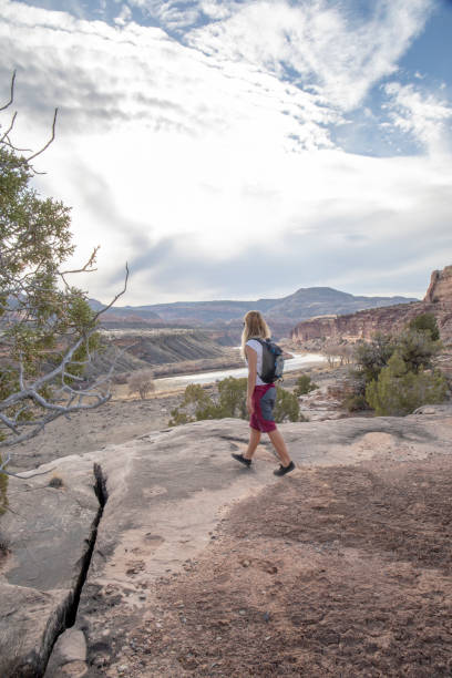 istock Female hiker walks along desert pathway in the morning 1310324885