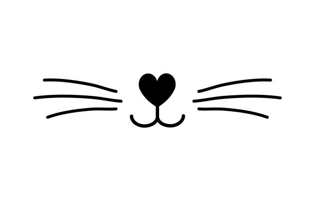 ilustraciones, imágenes clip art, dibujos animados e iconos de stock de nariz de gato plano vectorial - whisker