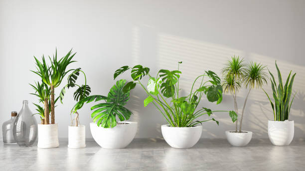 istock Bunch of Green Plants 1310327994