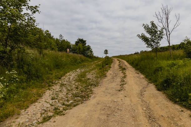 istock Long path with bushes and fields around in Kaczawskie mountains 1310329166