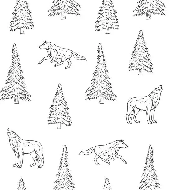 Vector illustration of Vector seamless pattern of hand drawn doodle sketch wolf and spruce tree