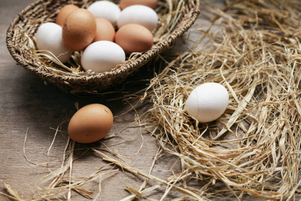 istock Basket in eggs on wooden background. 1310330300