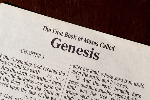 This is the King James Bible translated in 1611.  There is no copyright.  A razor-sharp macro photograph of the first page of the book of Genesis.