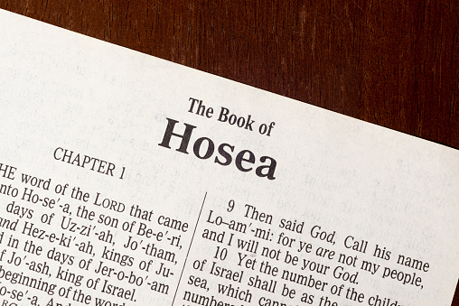 This is the King James Bible translated in 1611.  There is no copyright.  Title Page of the Book of Hosea