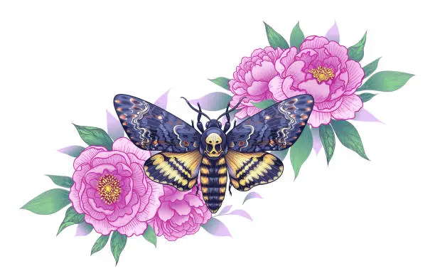 Vector illustration of Hand drawn butterfly and pink Peony flowers