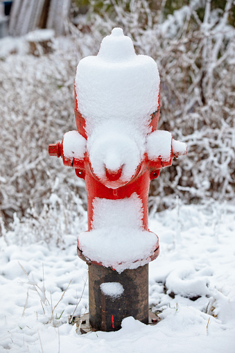 A snow-covered fire hydrant