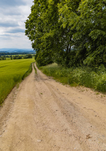 istock Long path with bushes and fields around in Kaczawskie mountains 1310333743