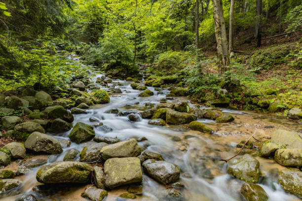 istock Small stony waterfall next to mountain trail in Giant Mountains 1310334930