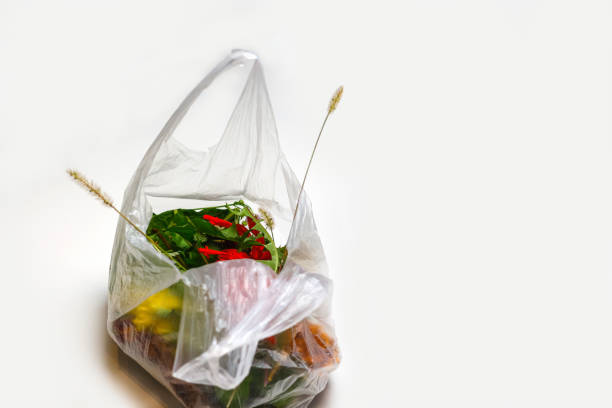 istock DEFOCUS. Ecological problem. Red and green plants flowers in a plastic bag on a white background. A dry blade of grass sticks out. Ecological problems. Out of focus 1310335636