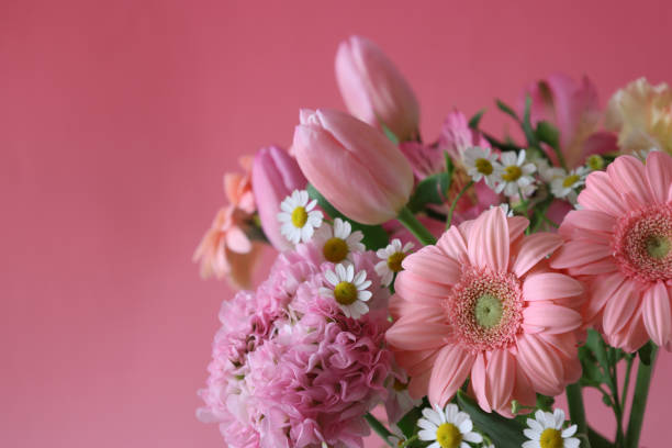 istock various kind of flowers in a pink background 1310346864