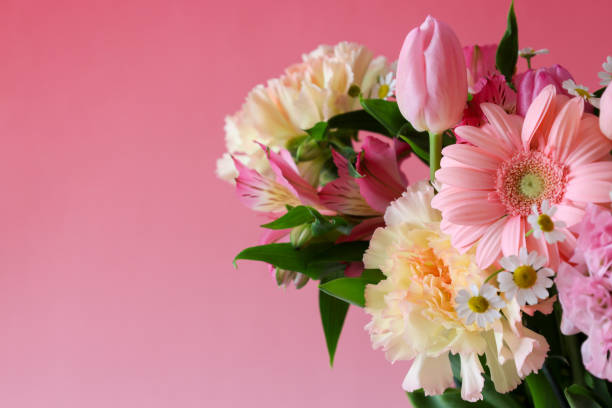 istock various kind of flowers in a pink background 1310346867