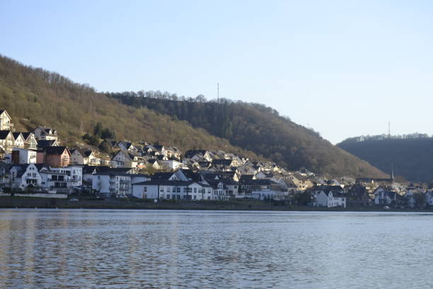 istock Nice sight on the Moselle between water and green 1310346954