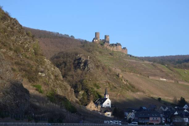 istock The delicious Moselle grapes are grown here 1310347055