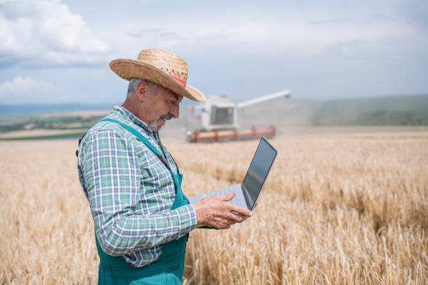 istock Modern farmer using a laptop to control the harvest on his field. 1310351610