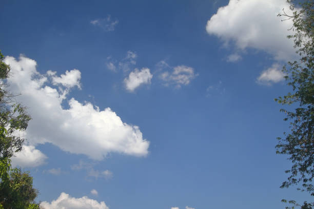 istock blue sky and white clouds nature background framed by trees on the side 1310356140