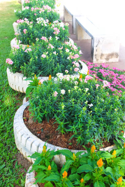 istock Flowers blooming in nature garden background 1310358768
