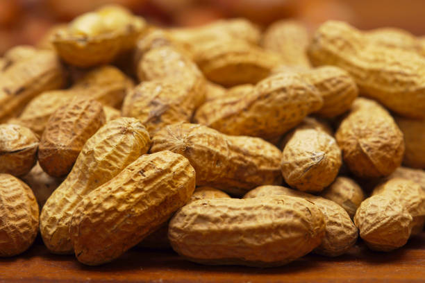 istock A lot of peanuts on dark table 1310364147