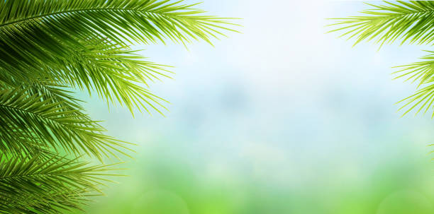 istock World Environment Day concept: Palm Tree Leaves  on blue sky background 1310367283
