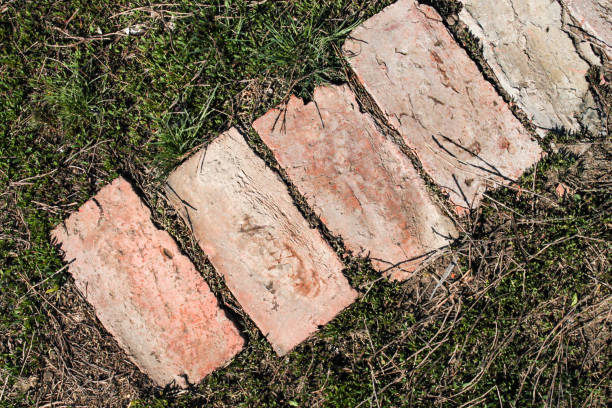 The pedestrian path in the city park is paved with tiles. Blurred background.