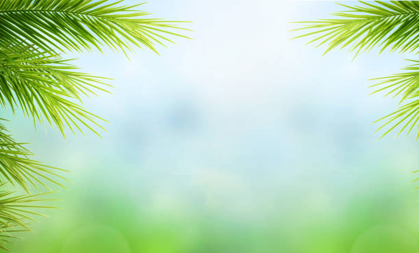istock World Environment Day concept: Palm Tree Leaves  on blue sky background 1310370545