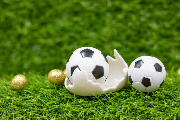 istock Soccer ball for Easter Holiday with Easter eggs decoration on green grass 1310370732