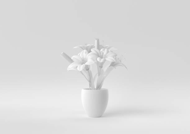 White Tree pot in white background. minimal concept idea creative. monochrome. 3D render.