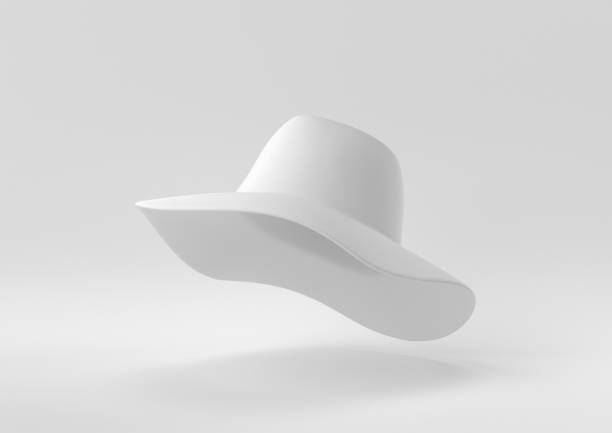 istock White Sun Hat floating in white background. minimal concept idea creative. monochrome. 3D render. 1310374246