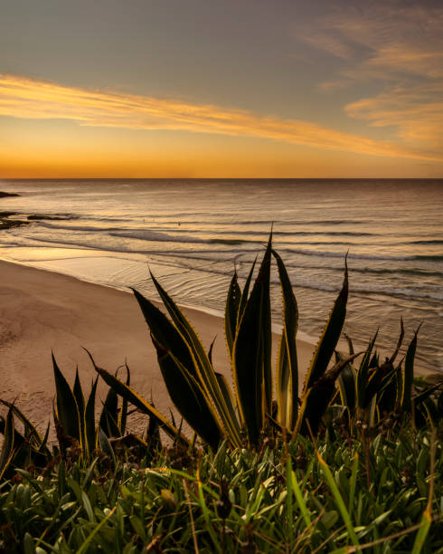 istock Sunrise by the sea 1310376790