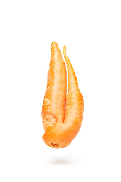 istock Fresh natural ugly raw carrot isolated on white background 1310381030