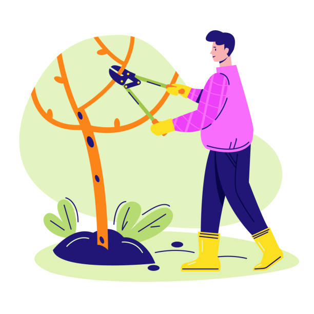 2,000+ Tree Pruning Stock Illustrations, Royalty-Free Vector Graphics ...