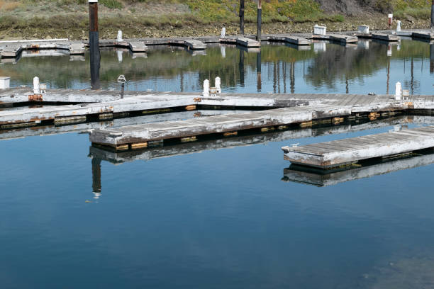 istock Old distressed or rotting wooden docks that have been abandoned 1310381033
