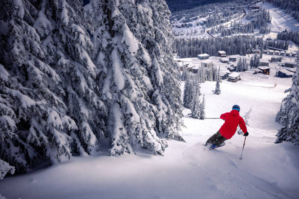 порошковые лыжи - skiing british columbia sports helmet tree стоковые фото и изображения