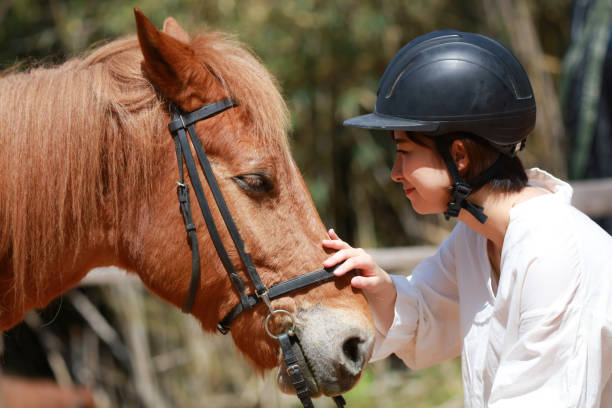 16,400+ Asian Horse Riding Stock Photos, Pictures & Royalty-Free Images ...