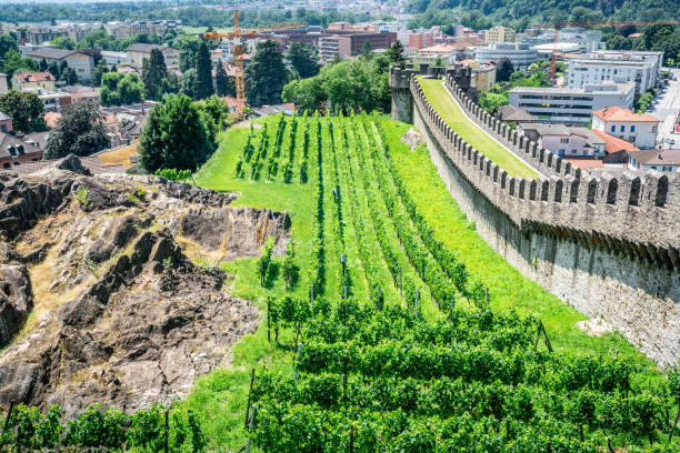 winnice i stara mur obronny zamku castelgrande w bellinzona ticino szwajcaria - ticino canton obrazy zdjęcia i obrazy z banku zdjęć