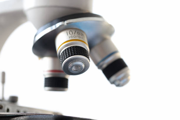 Closeup of head of biological microscope in laboratory. Scientific research concept
