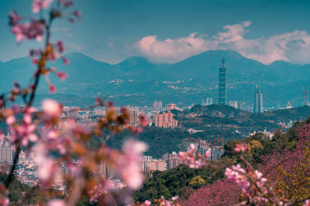 istock Spring season-Beautiful sakura with  Taipei cityscape in spring, 1310386423